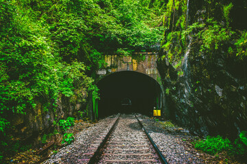 Railway tunnel in Goa's tropical forest, creating a picturesque travel background.