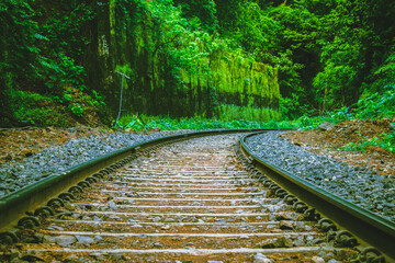 Railway tracks in the rainforest, Dudhsagar, India.