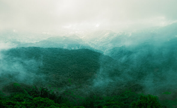 Aerial view of lush green rainforest at Maharashtara, India.