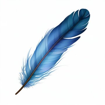 a blue feather on a white background