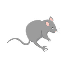 mouse illustration