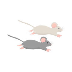 mouse illustration