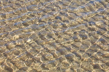 Sand sea bottom and small waves in sunny spring weather.
