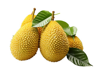 Cudrang Fruit on white background