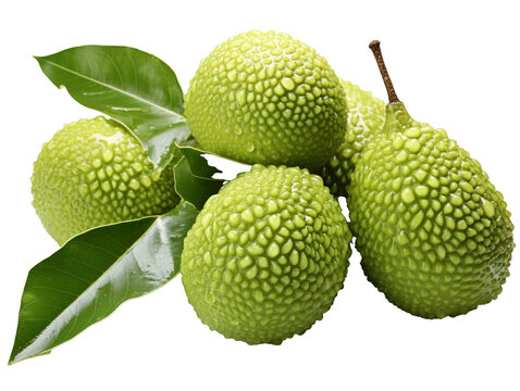 Karonda Fruit on white background
