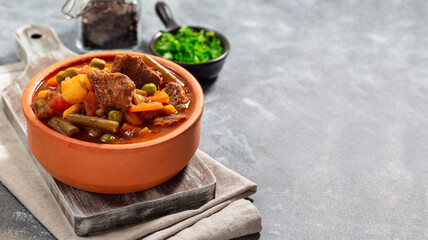 Beef stew with potato, green beans, carrot, peas and corn, in ceramic bowl, horizontal, copy space