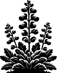 Grossulariaceae plant icon 11