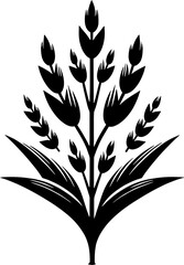 Gisekiaceae plant icon 3