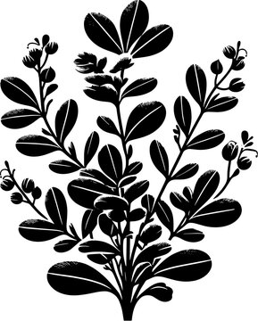 Goodeniaceae plant icon 1