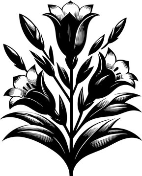Gentianaceae plant icon 11