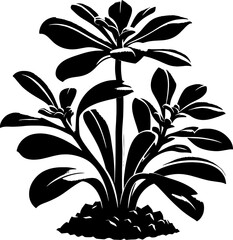 Frankeniaceae plant icon 2