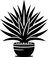 Fouquieriaceae plant icon