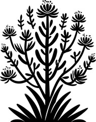 Fouquieriaceae plant icon 12