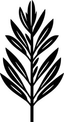 Fouquieriaceae plant icon 10