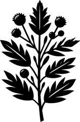 Fagaceae plant icon 9
