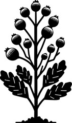 Fagaceae plant icon 1