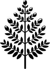 Eupteleaceae plant icon