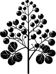Eupteleaceae plant icon 12