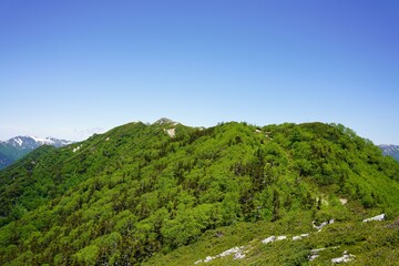 北アルプス　新緑の烏帽子岳