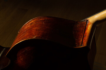 Close up Double Bass