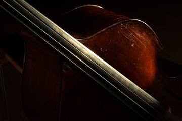 Close up Double Bass