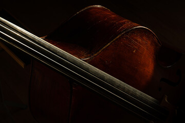 Close up Double Bass