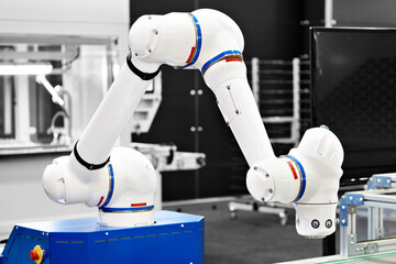 Robot manipulator industry
