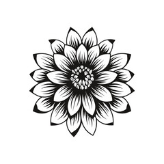 Beautiful minimalist flower illustration art.