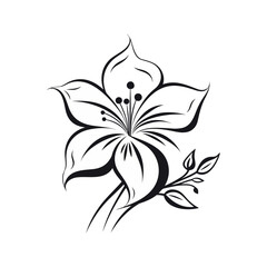 Beautiful minimalist flower illustration art.