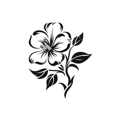 Obraz premium Beautiful minimalist flower illustration art.