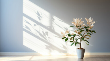 Beautiful White room with flower on the floor and reflection of the window from the sun rays on the wall Mockup