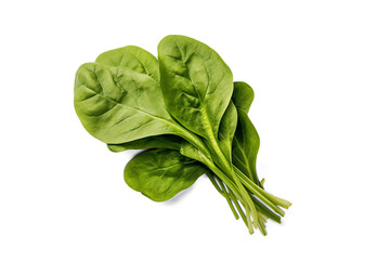 Fresh Green Spinach Leaves | Isolated on Transparent & White Background | PNG File with Transparency