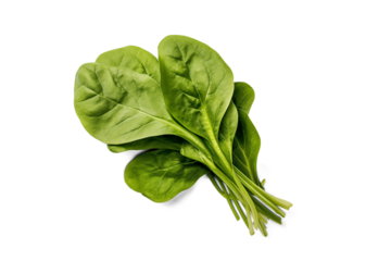 Fresh Green Spinach Leaves | Isolated on Transparent & White Background | PNG File with Transparency