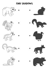Obraz premium Find the correct shadows of black and white North American animals. Logical puzzle for kids.