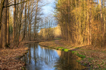 Rays of sunshine fall on the path beside the Brunnenbach stream in Siebenbrunn, the smallest...