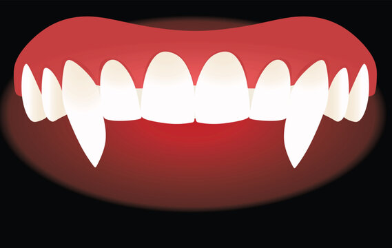 White vampire teeth isolated. vector illustration