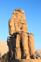 zoom sur le colosse nord de Memnom au lever de soleil avec oiseaux (Thèbes,louxor,Egypte)