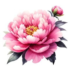 Obraz premium beautiful pink peony flower watercolor paint for card decor