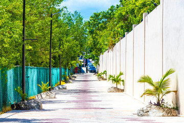 Natural tropical way walking path jungle nature palm trees Mexico.