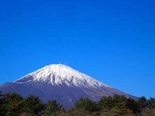 富士山のアップ