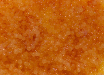 A close-up of many fresh carp (Cyprinus Carpio) roe