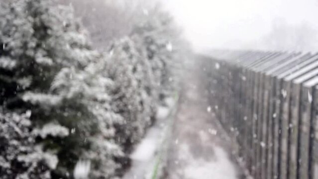 하얀 눈이 내리는 날 아웃 포커스로 촬영 된 눈이 내리는 영상 배경화면과 인서트로 사용하기 좋음