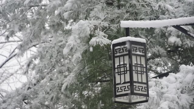 하얀 눈이 내리는 날 한국의 전통 문양의 가로등과 가로수에 힌눈이 내리는 