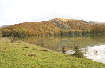Fototapeta na wymiar Selva de Irati en otoño
