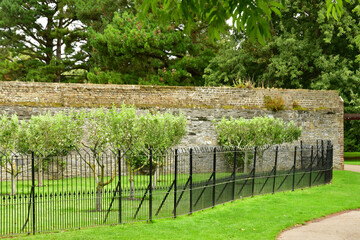 Dublin,Ireland - september 15 2022 : Victorian Kitchen Garden