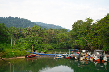 Fototapeta na wymiar boats in a jungle lake
