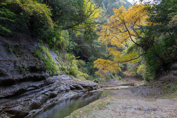 Usa Waterfall in Japan