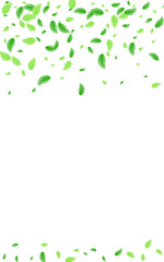 Greenish Sheet Background White Vector. Leaves Process Frame. Peaceful Card. Green Environmental Design. Greenery Ecology.