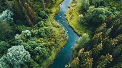 Naklejka na ściany i meble This aerial image, taken from a drone, beautifully captures a lush green forest 