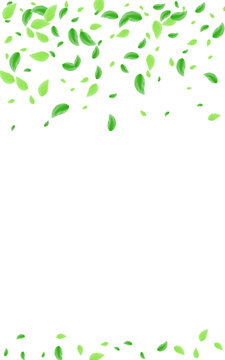 Fototapeta Greenish Sheet Background White Vector. Leaves Process Frame. Peaceful Card. Green Environmental Design. Greenery Ecology.